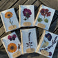 Hardten's Garden Pressed Flower Cards + Seeds