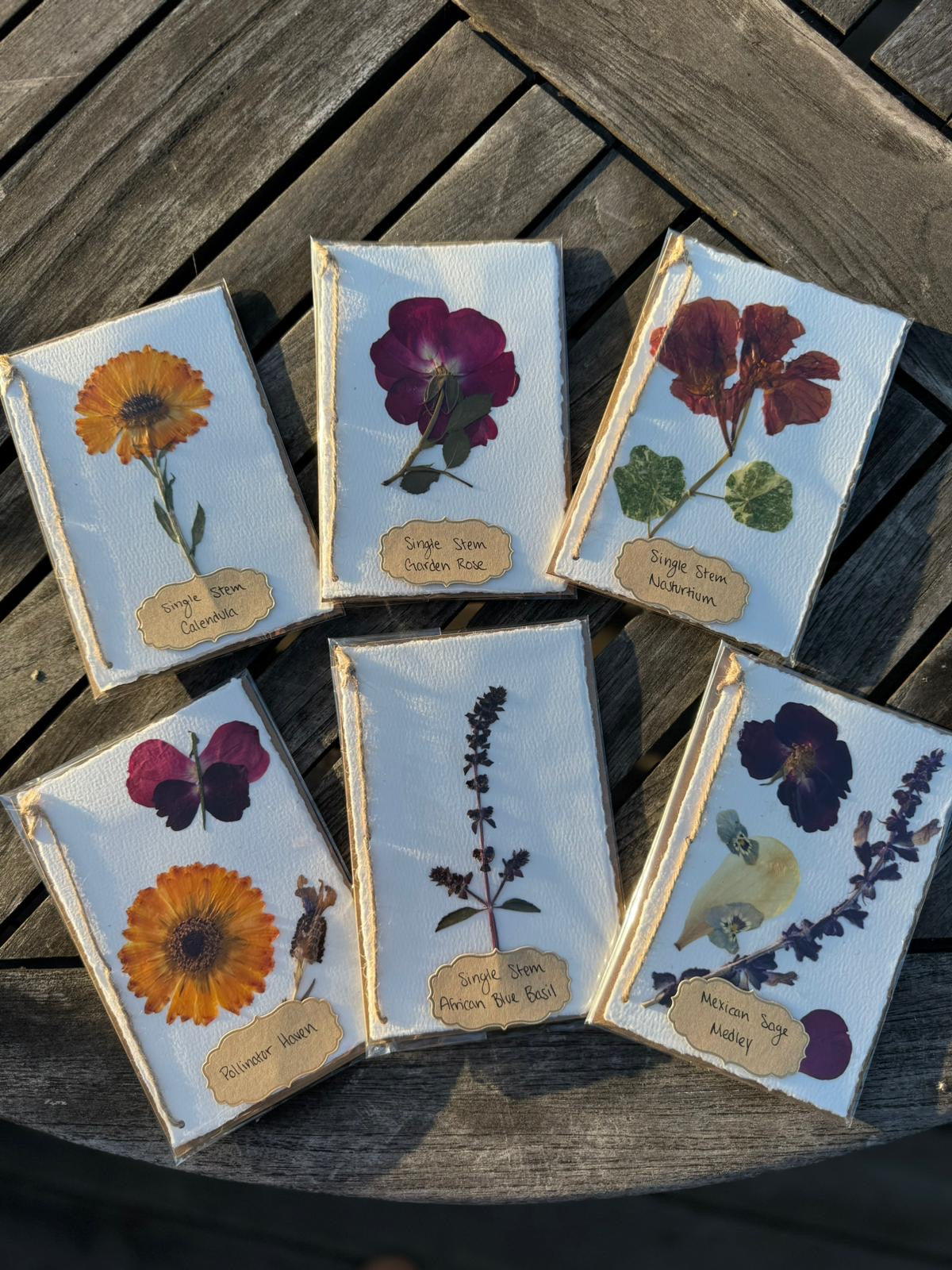 Hardten's Garden Pressed Flower Cards + Seeds