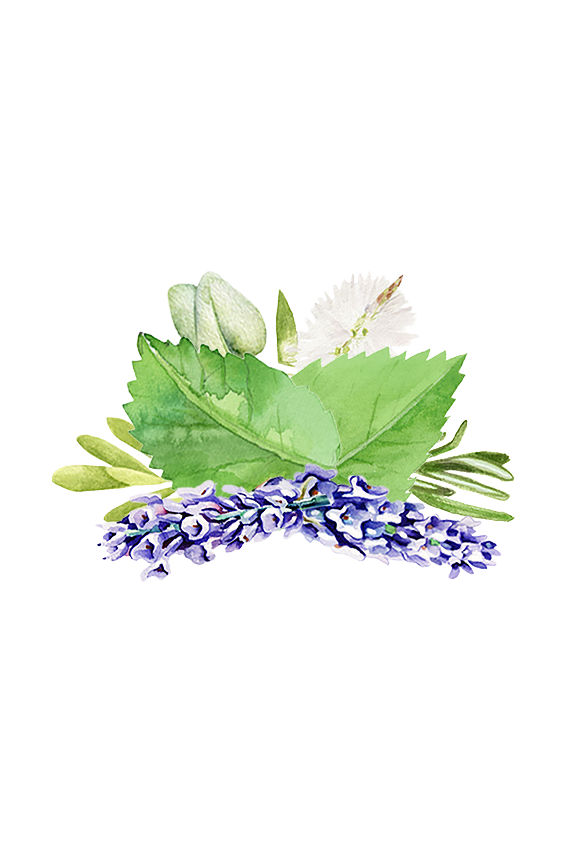 Rustic Strength | Room Spray – Aromatherapy Blend-2