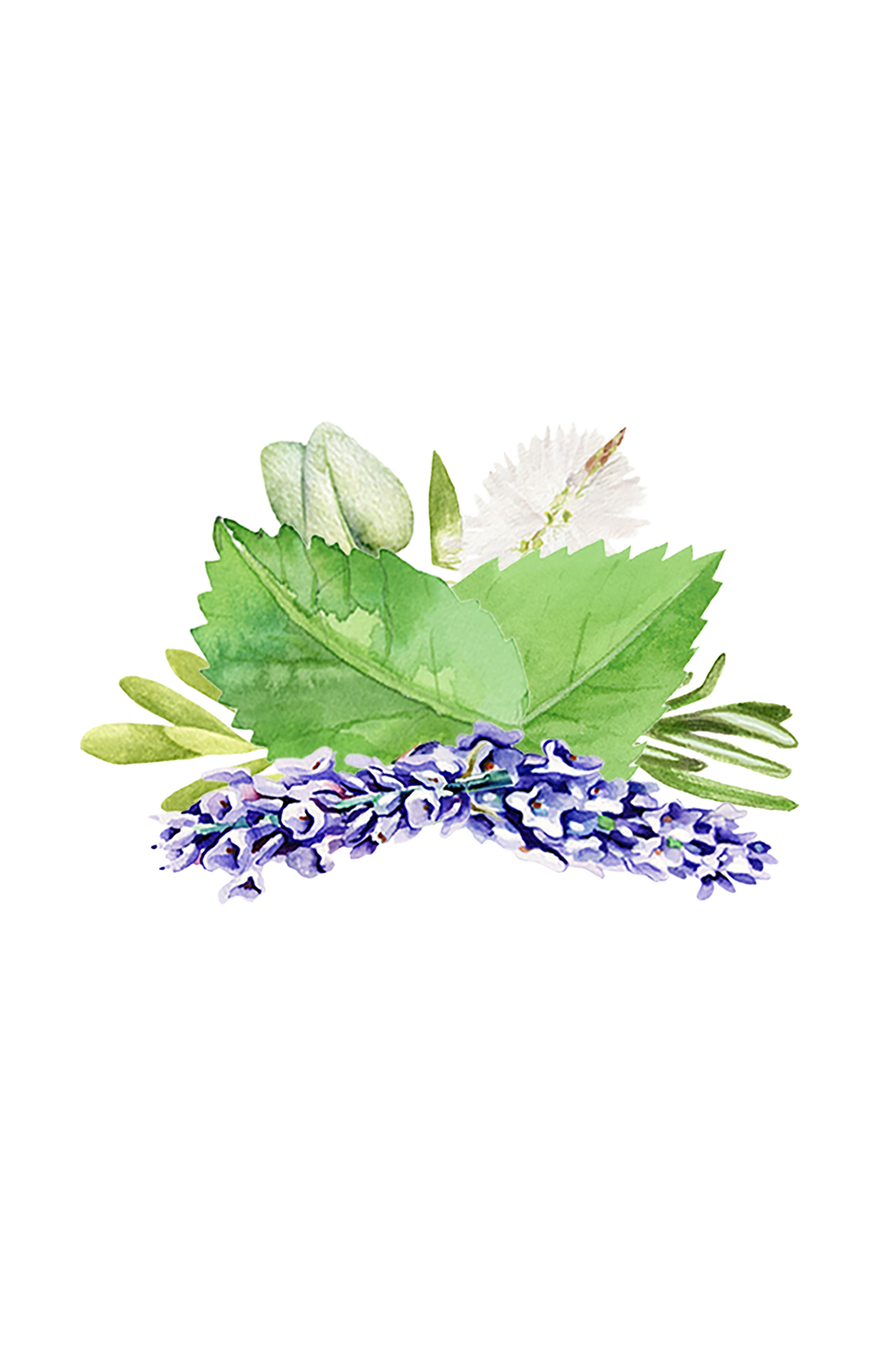 Rustic Strength | Room Spray – Aromatherapy Blend