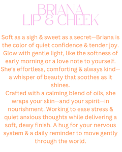 Lip & Cheek Sticks | Kim, Briana & Taylor Trio - Aware House