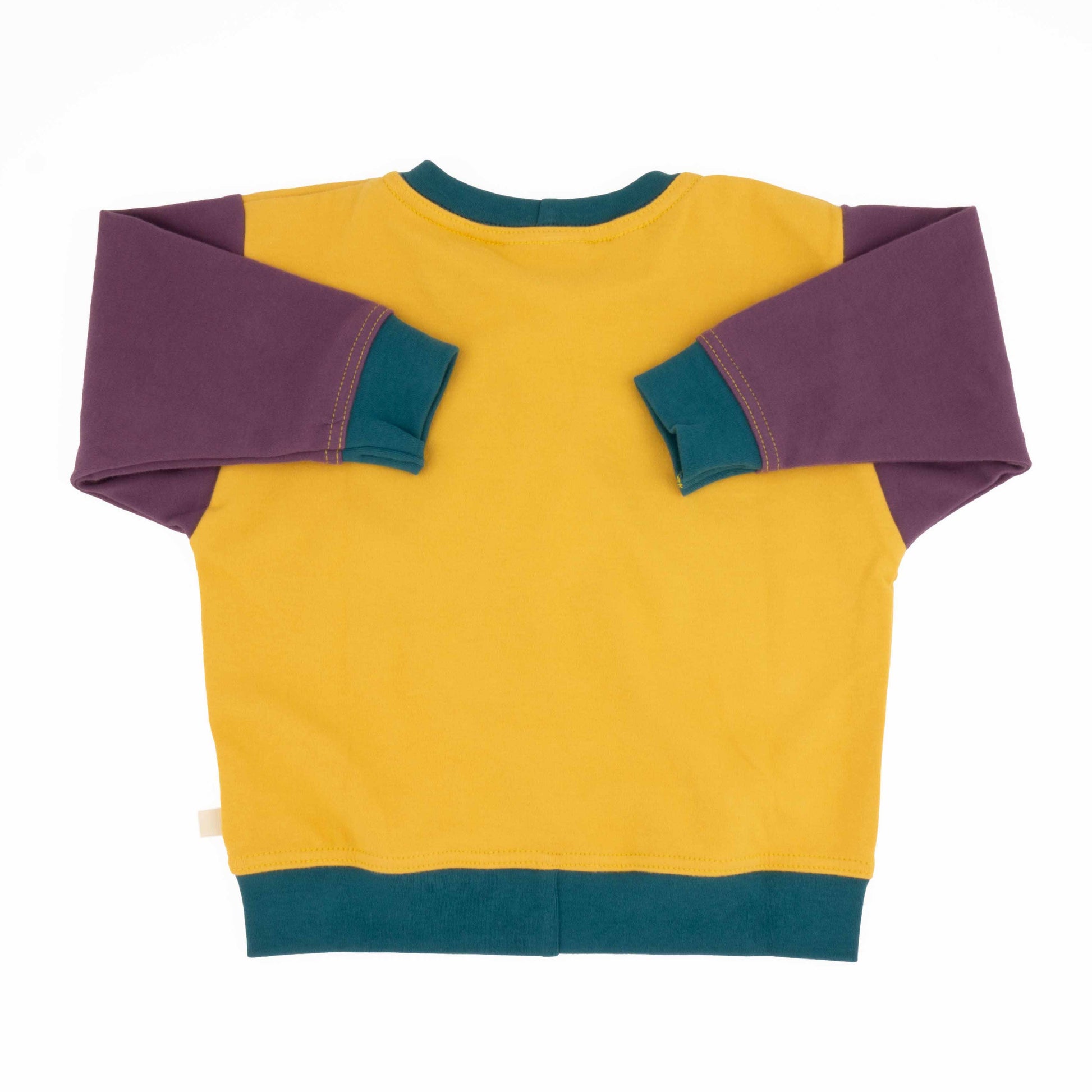 Baby Colorblock Sweatshirt | Organic Cotton Colorblock Sweatshirt - Aware House