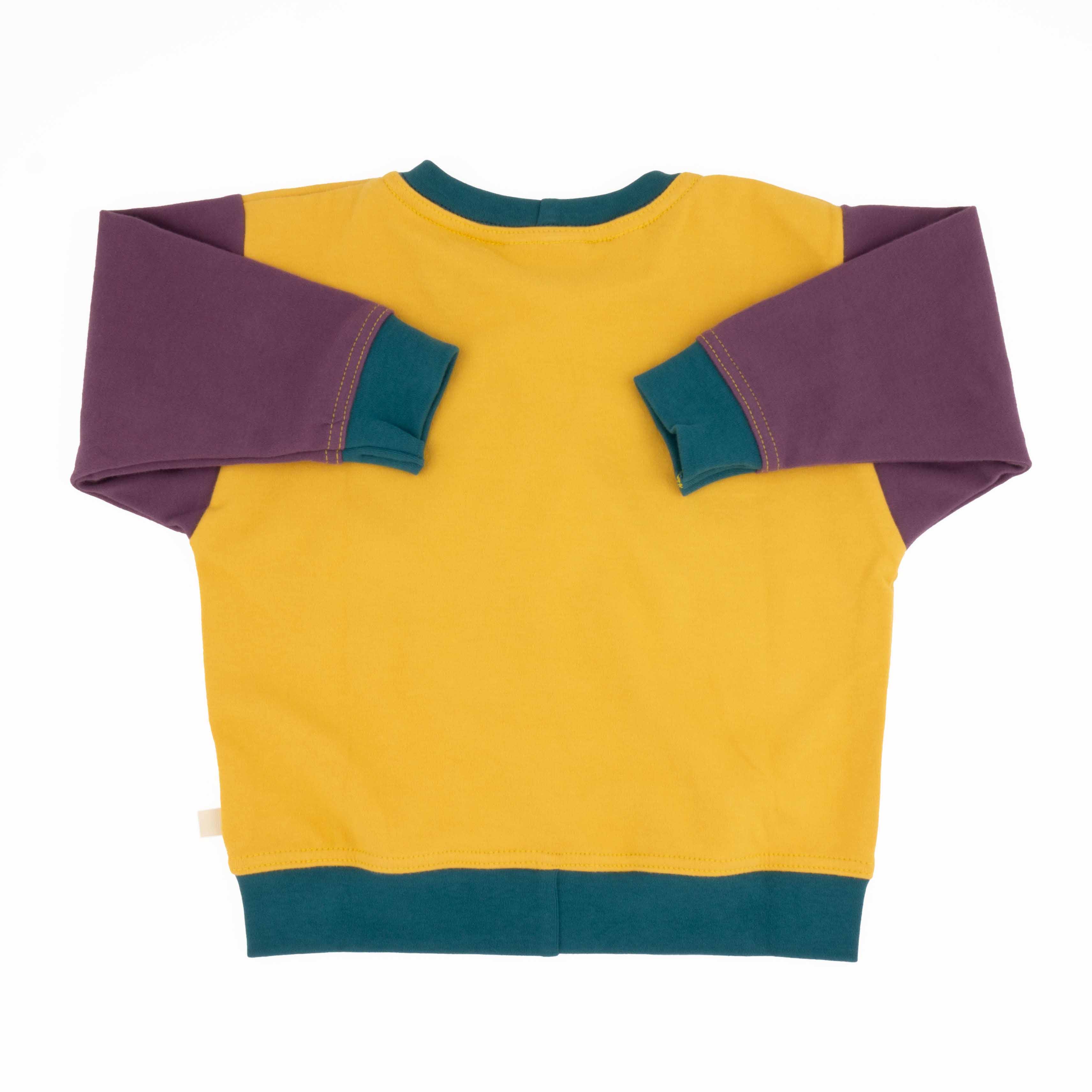 Baby Colorblock Sweatshirt | Organic Cotton Colorblock Sweatshirt - Aware House