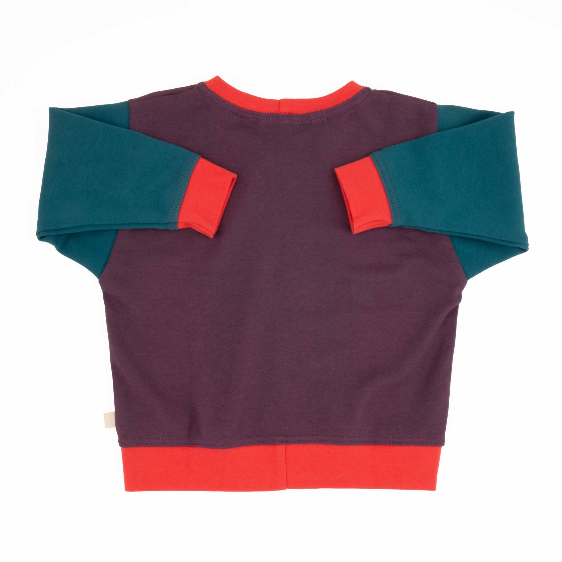 Baby Colorblock Sweatshirt | Organic Cotton Colorblock Sweatshirt - Aware House