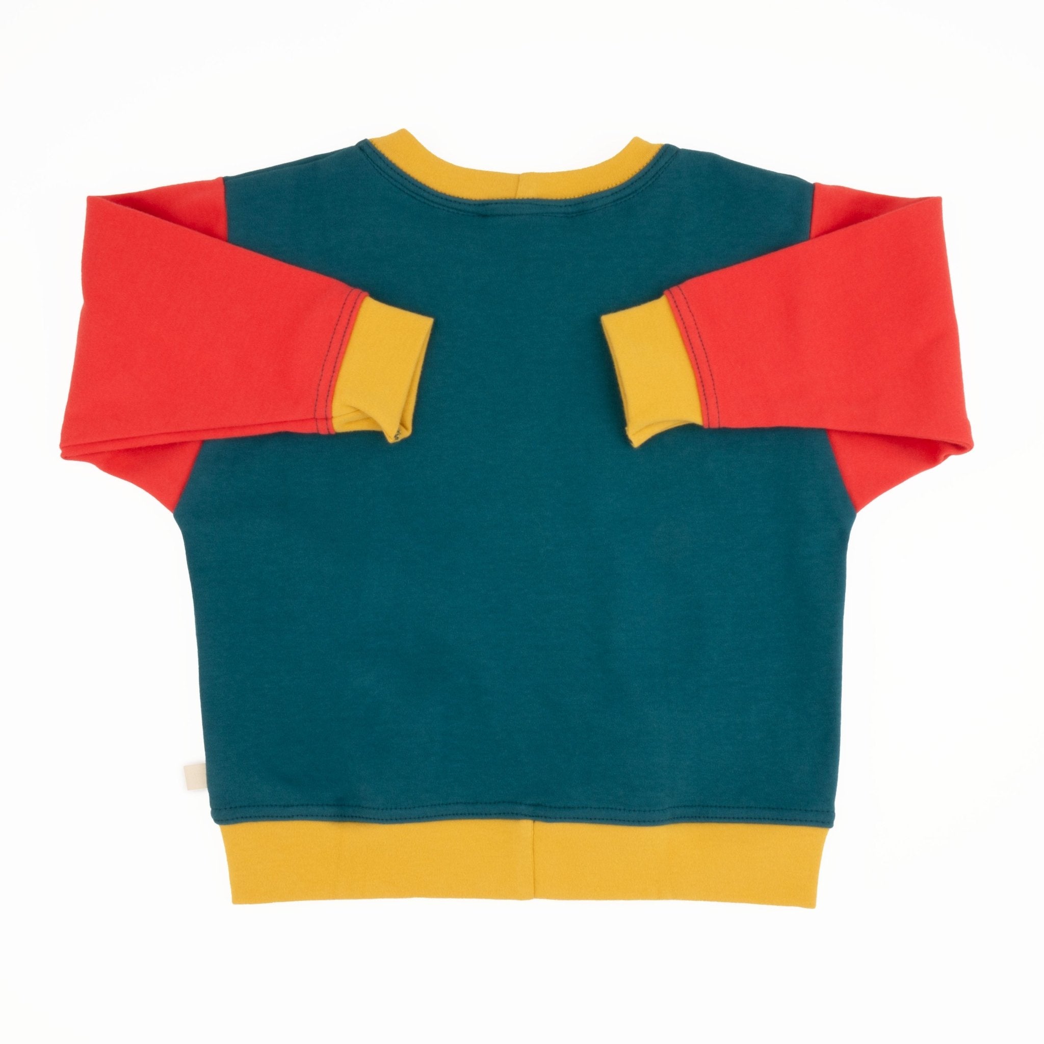 Baby Colorblock Sweatshirt | Organic Cotton Colorblock Sweatshirt - Aware House