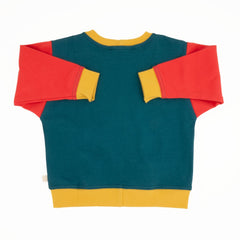Baby Colorblock Sweatshirt | Organic Cotton Colorblock Sweatshirt - Aware House