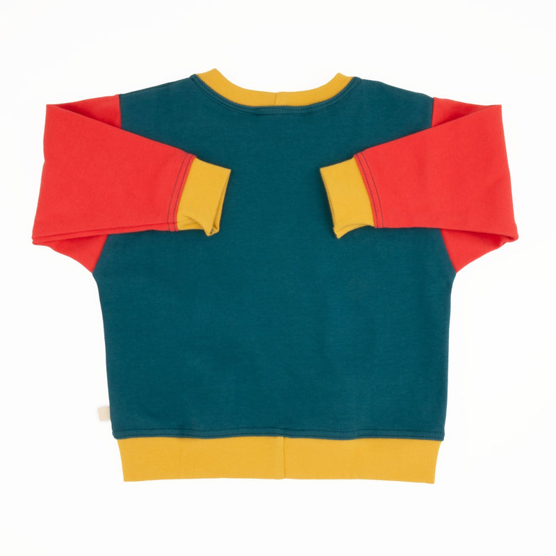 Baby Colorblock Sweatshirt | Organic Cotton Colorblock Sweatshirt-zoom-