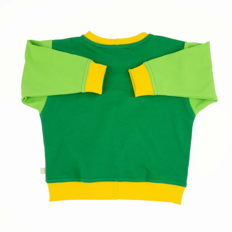 Baby Colorblock Sweatshirt | Organic Cotton Colorblock Sweatshirt-zoom-