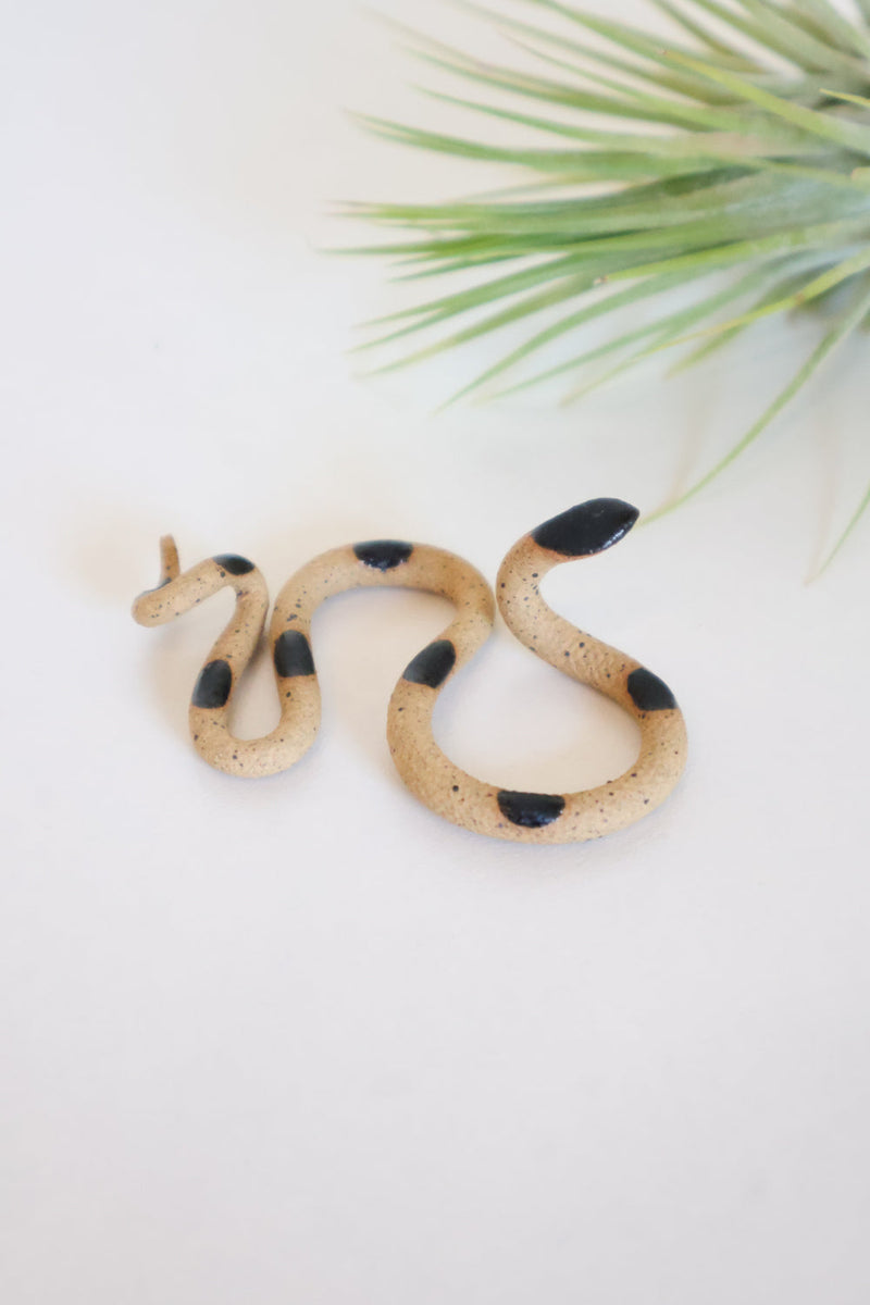 Baby Ceramic Snake-zoom-