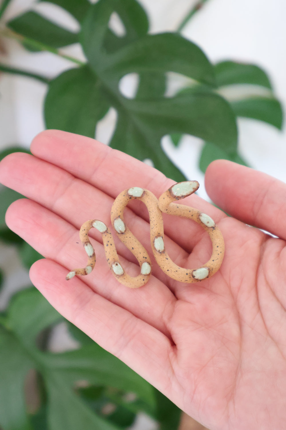 Baby Ceramic Snake-zoom-1