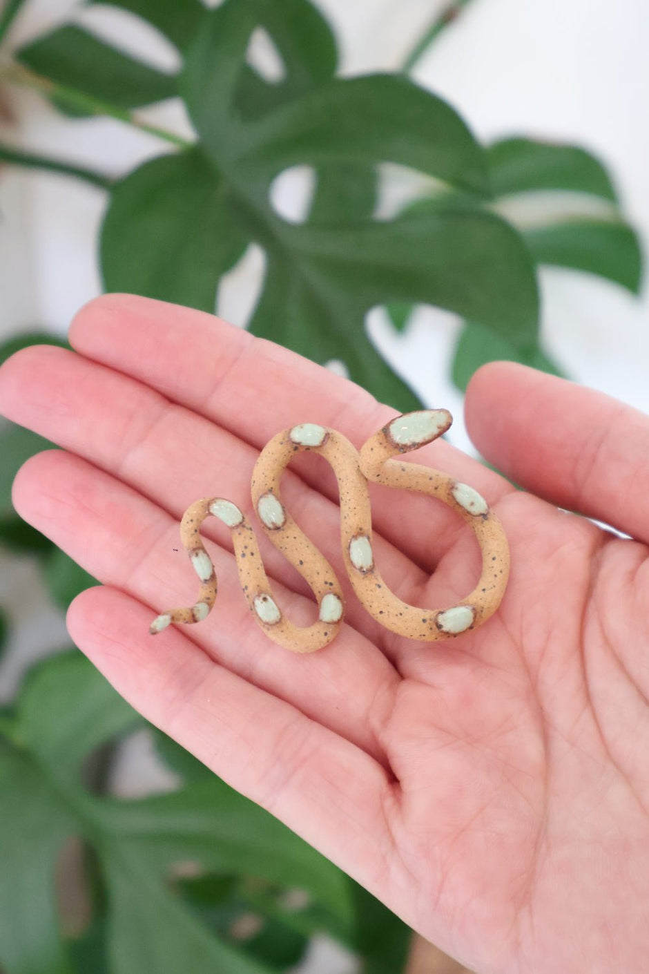 Baby Ceramic Snake - Aware House - Carter + Rose -