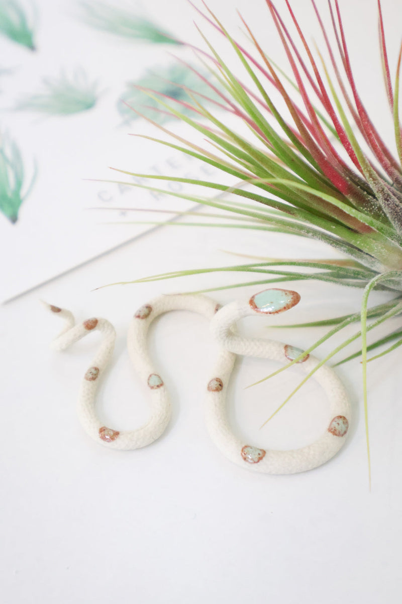 Baby Ceramic Snake-zoom-