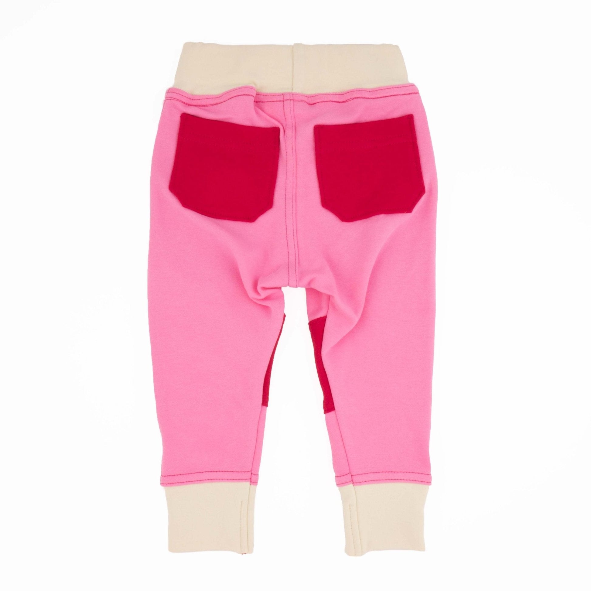 Big Kid Colorblock Joggers | Organic Cotton Colorblock Joggers - Aware House