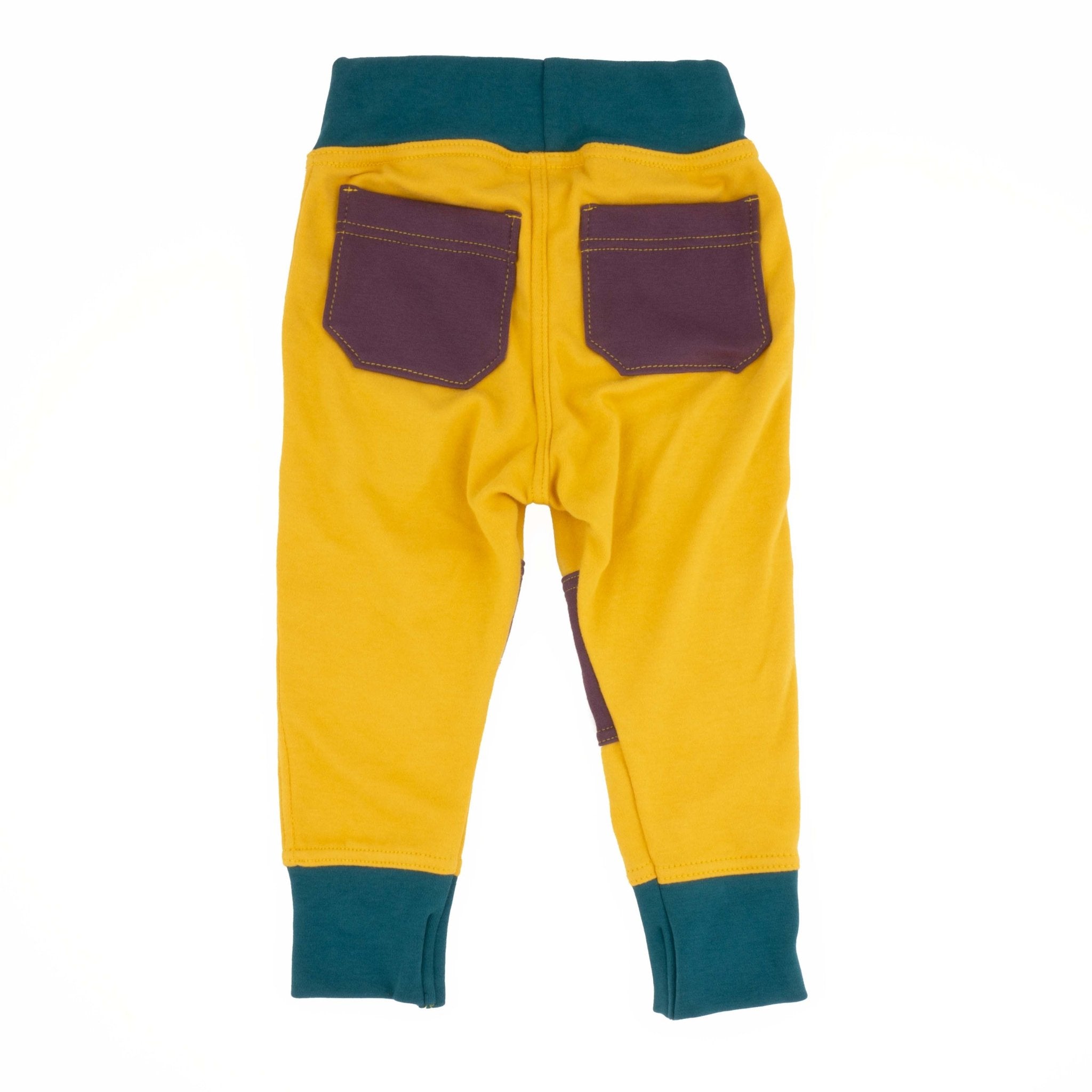 Big Kid Colorblock Joggers | Organic Cotton Colorblock Joggers - Aware House