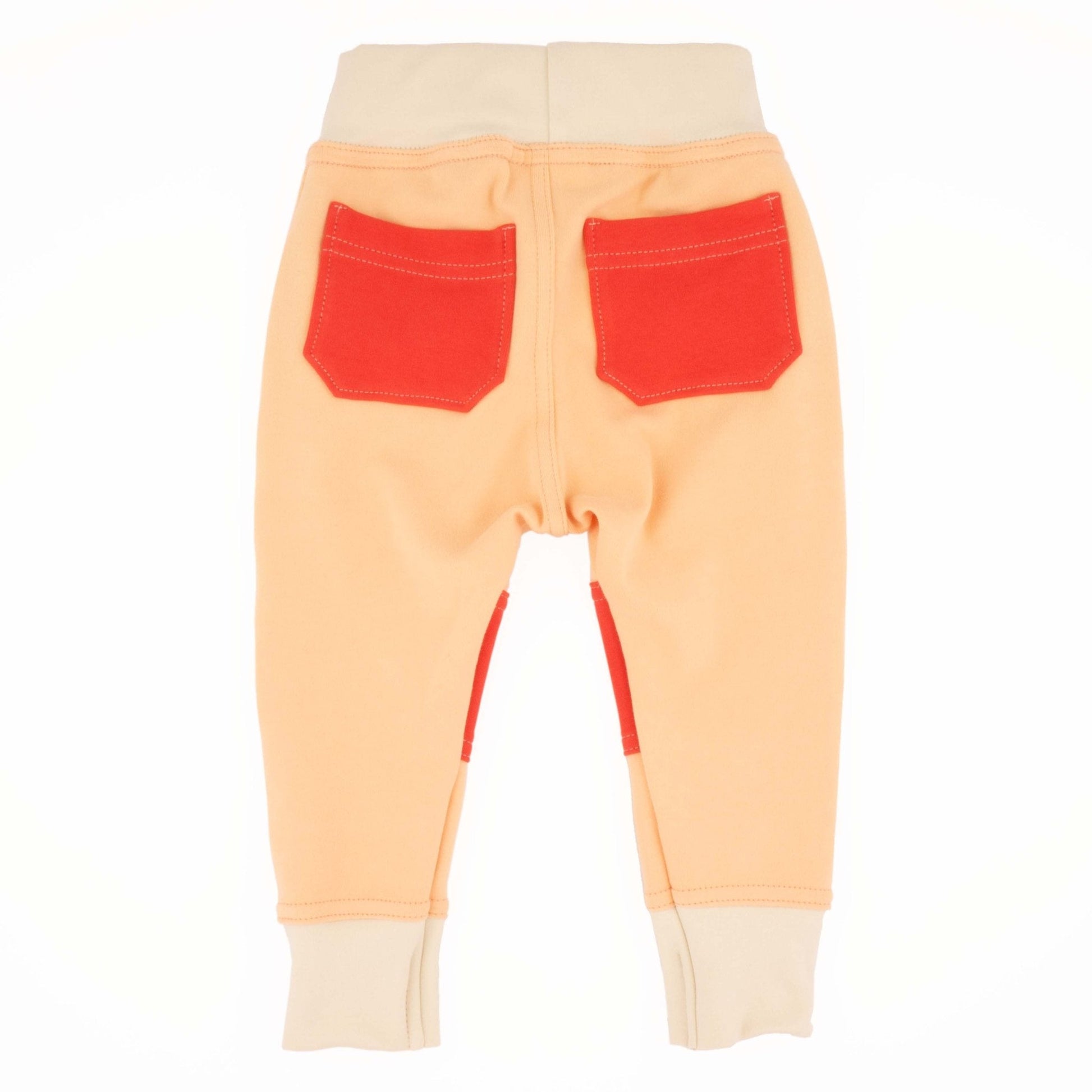 Big Kid Colorblock Joggers | Organic Cotton Colorblock Joggers - Aware House