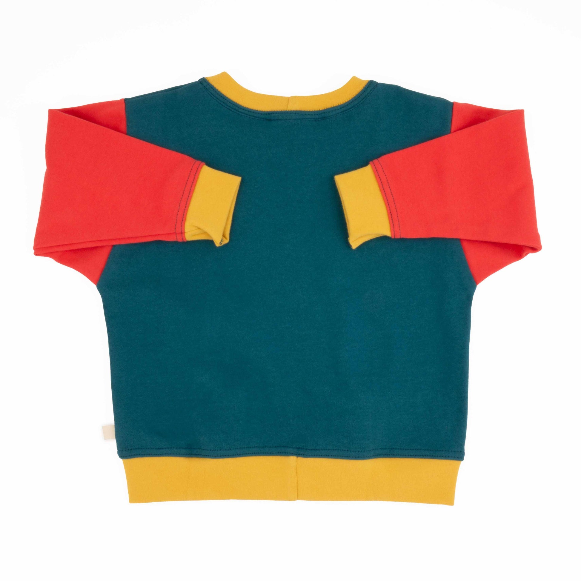 Big Kid Colorblock Sweatshirt | Organic Cotton Colorblock Sweatshirt for Kids - Aware House