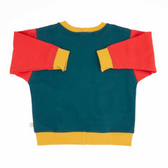 Big Kid Colorblock Sweatshirt | Organic Cotton Colorblock Sweatshirt for Kids - Aware House