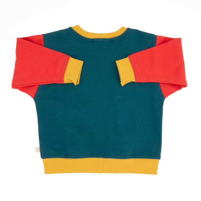 Big Kid Colorblock Sweatshirt | Organic Cotton Colorblock Sweatshirt for Kids-zoom-