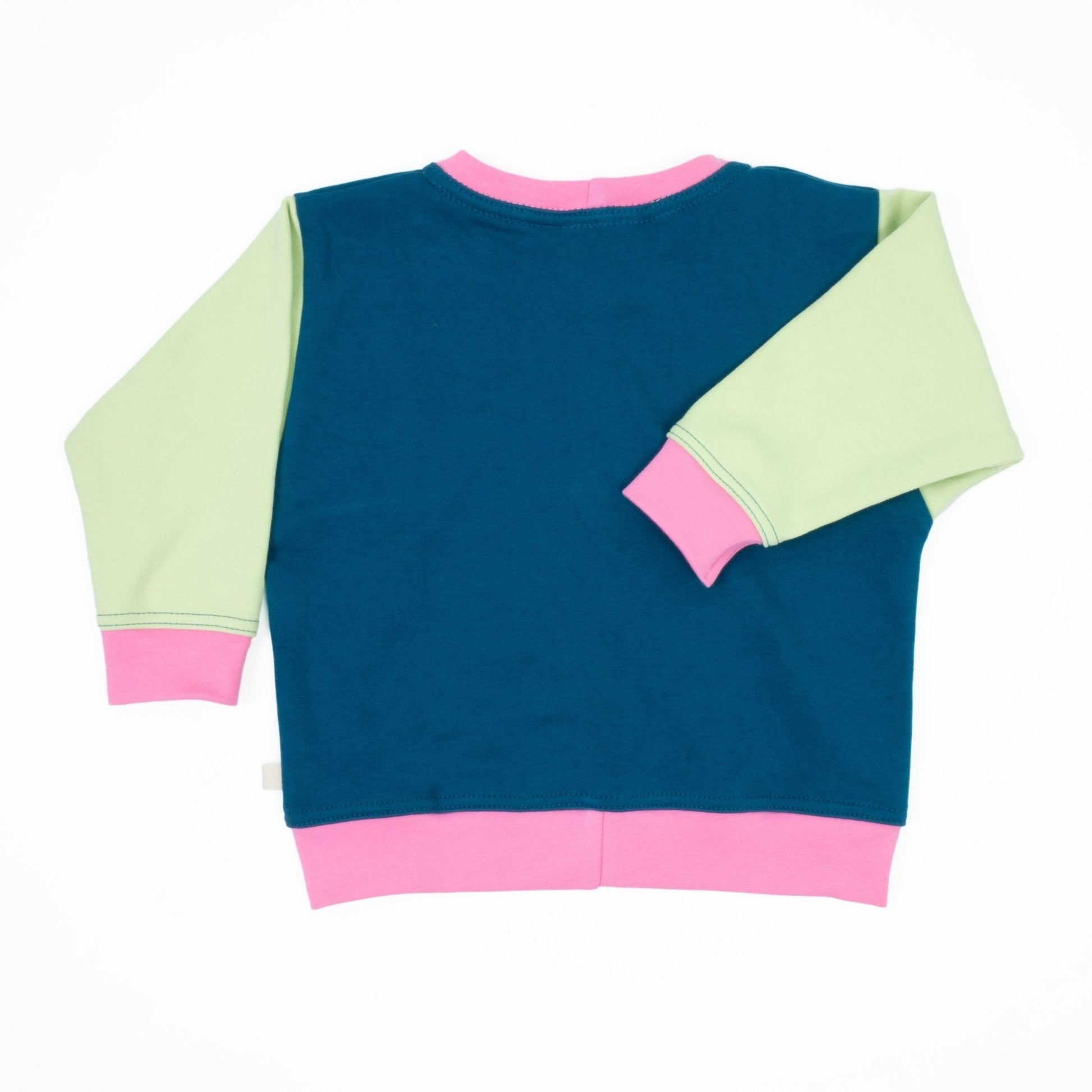 Big Kid Colorblock Sweatshirt | Organic Cotton Colorblock Sweatshirt for Kids - Aware House
