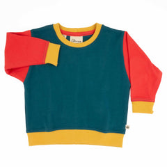 Big Kid Colorblock Sweatshirt | Organic Cotton Colorblock Sweatshirt for Kids - Aware House