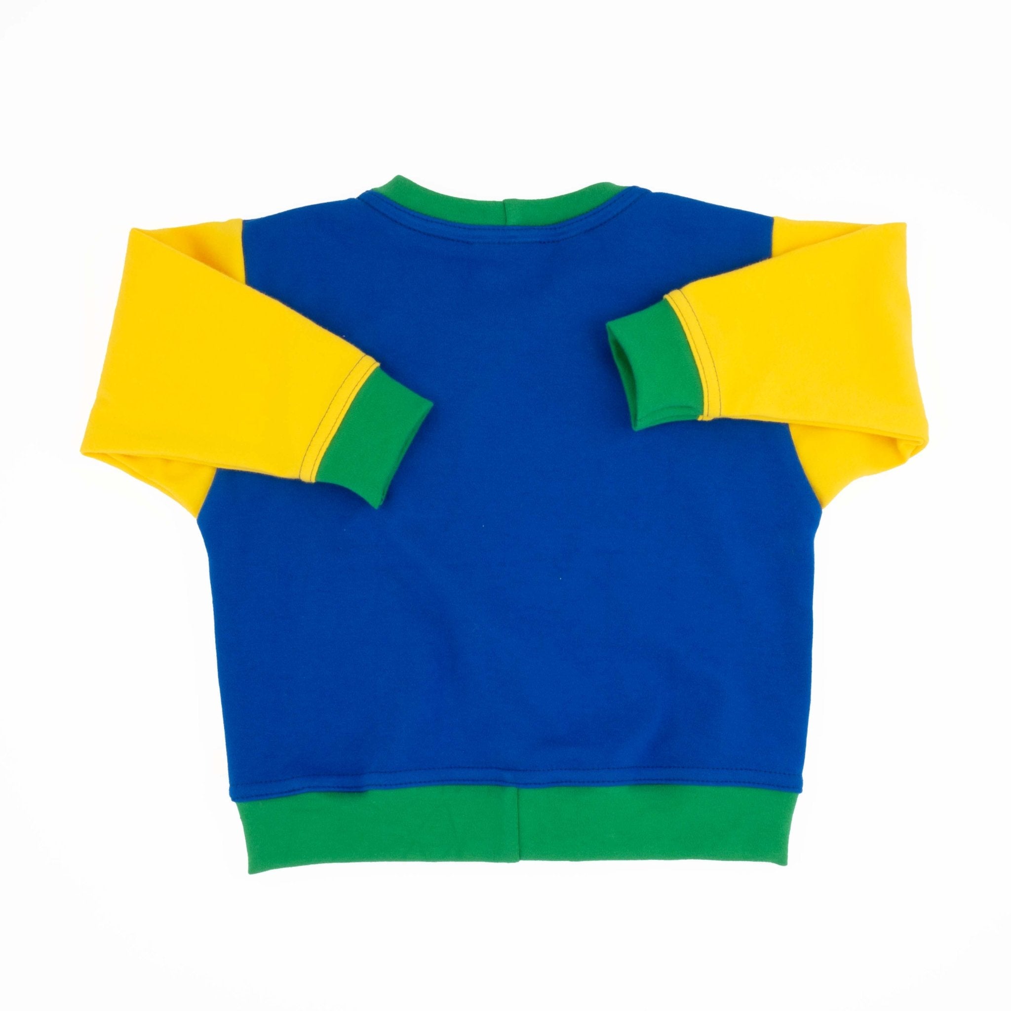 Big Kid Colorblock Sweatshirt | Organic Cotton Colorblock Sweatshirt for Kids - Aware House