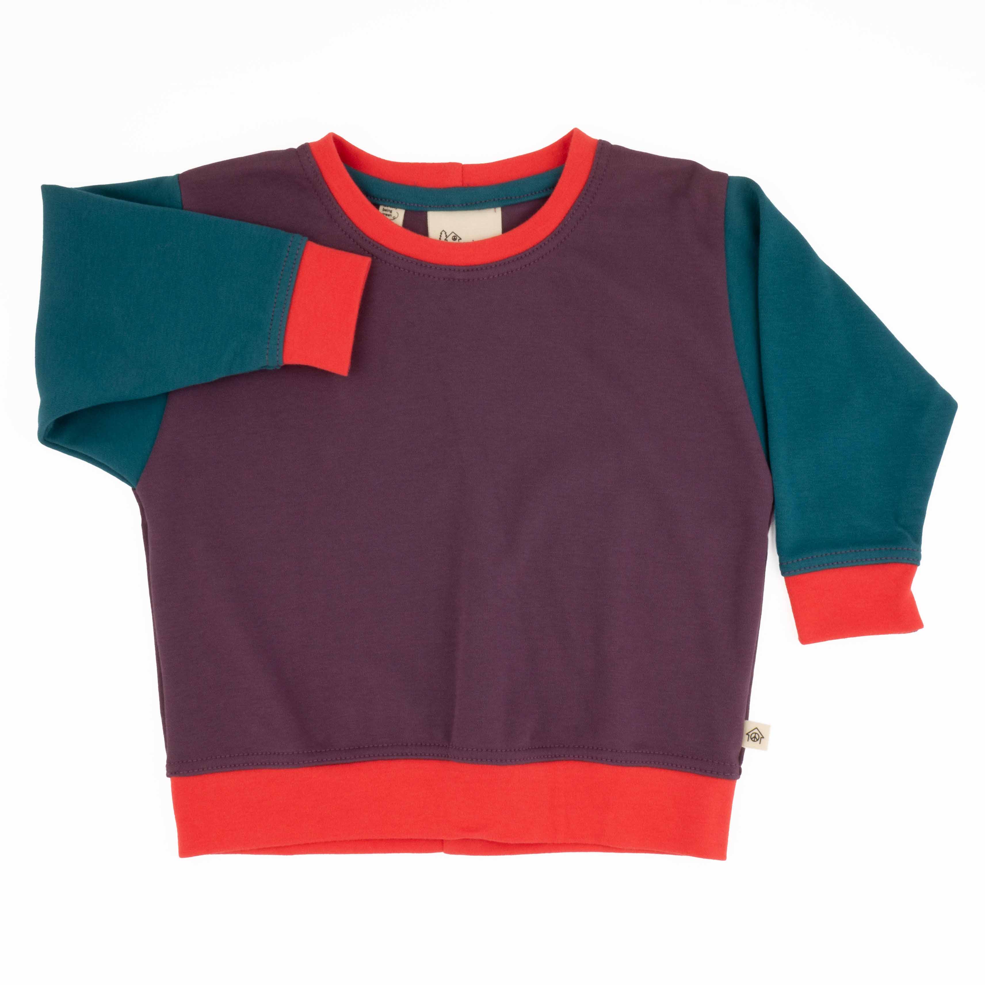 Big Kid Colorblock Sweatshirt | Organic Cotton Colorblock Sweatshirt for Kids - Aware House