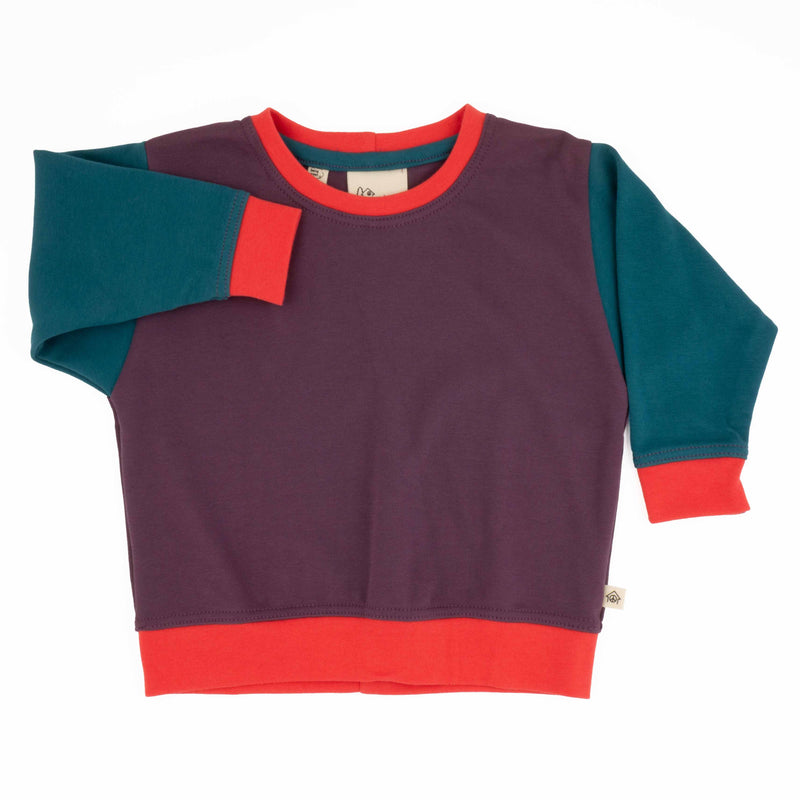 Big Kid Colorblock Sweatshirt | Organic Cotton Colorblock Sweatshirt for Kids-zoom-