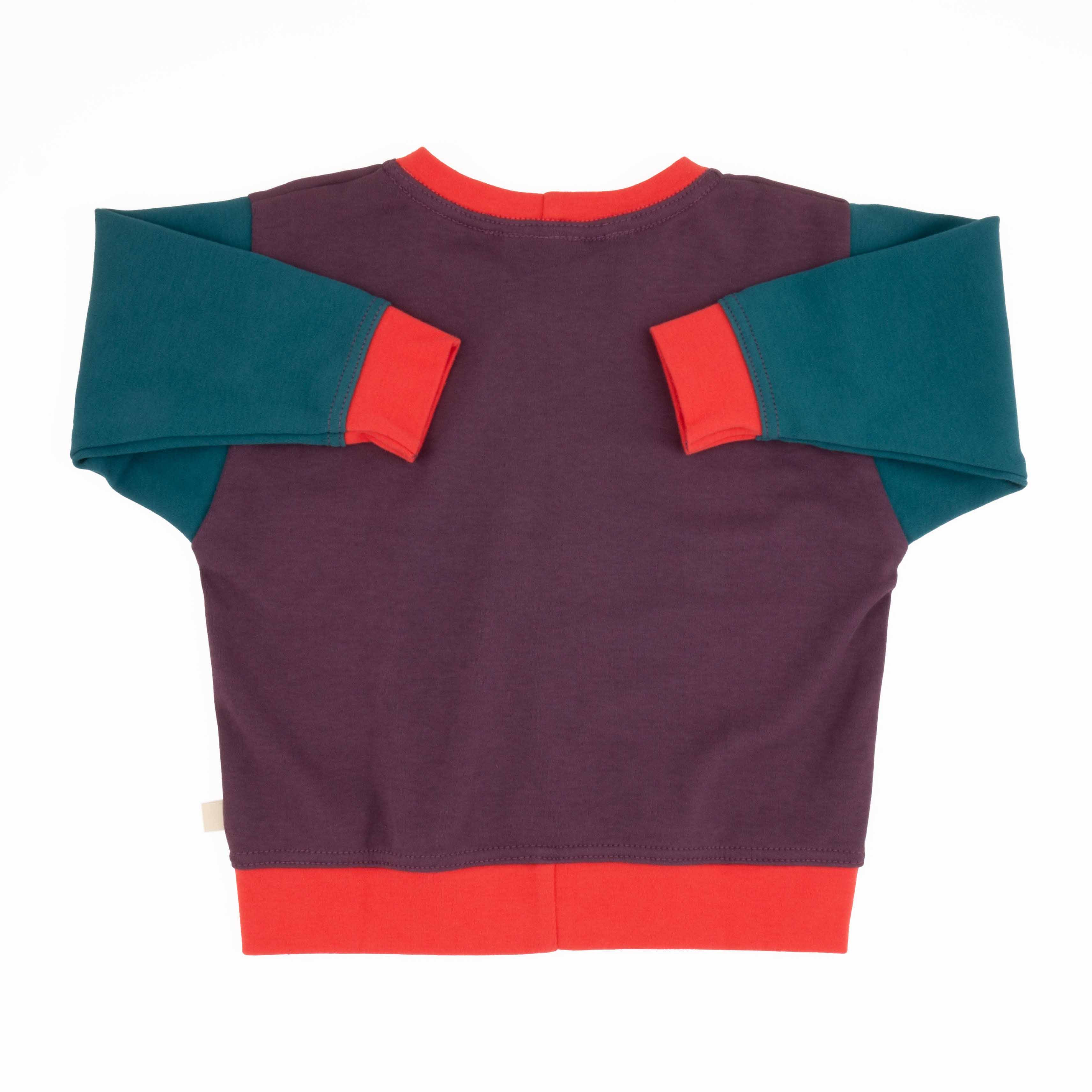 Big Kid Colorblock Sweatshirt | Organic Cotton Colorblock Sweatshirt for Kids - Aware House