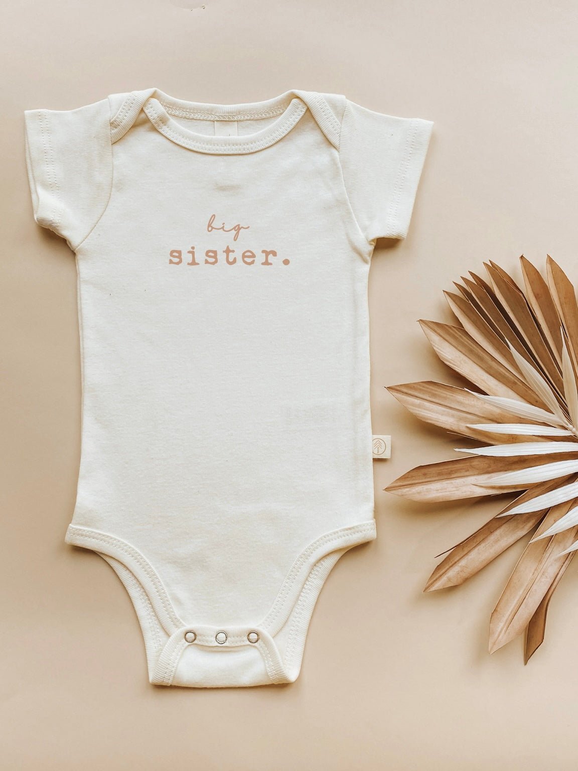 Big Sister Clay Organic Cotton Short Sleeve Baby Bodysuit - Aware House