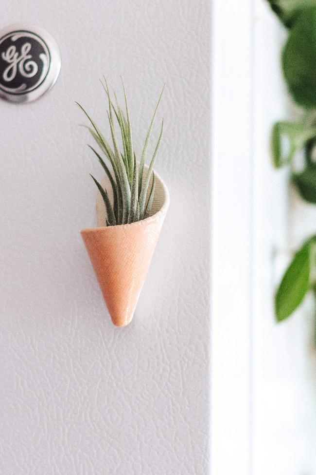 Mini Wall Planter Magnet-zoom-