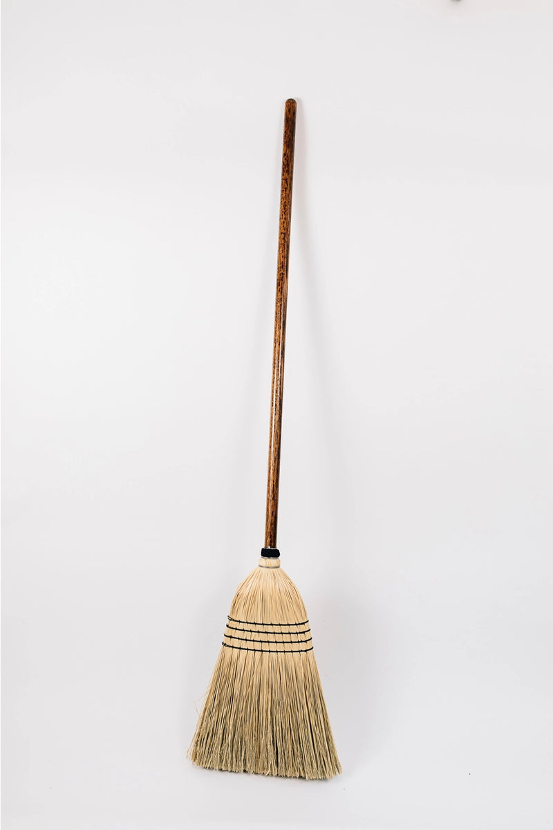 The Everyday Broom-zoom-