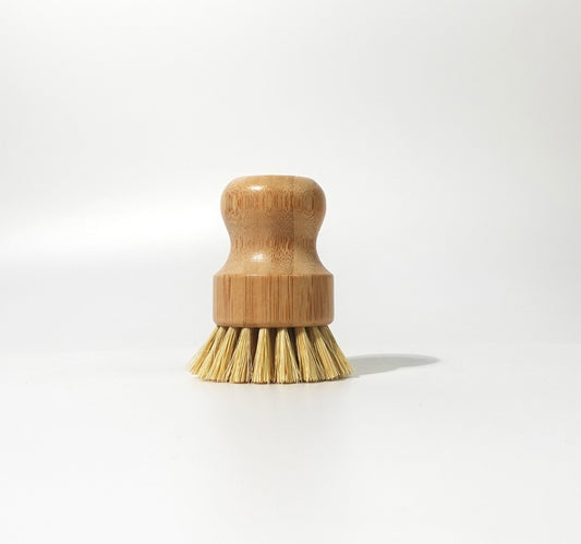 Wooden Dish Brush