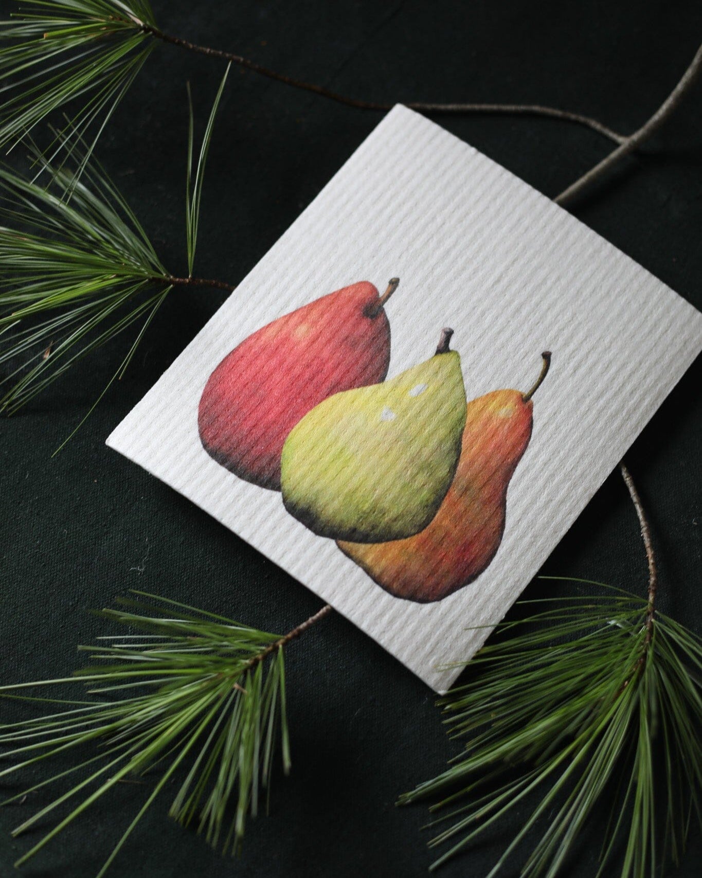 Pears, Tangerine, and Pinecone | Bundle of 3 Swedish Dishcloths