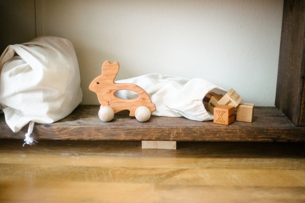 Bunny Push Toy - Aware House