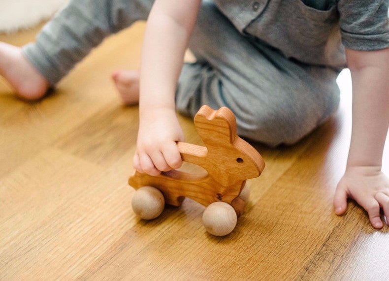 Bunny Push Toy - Aware House