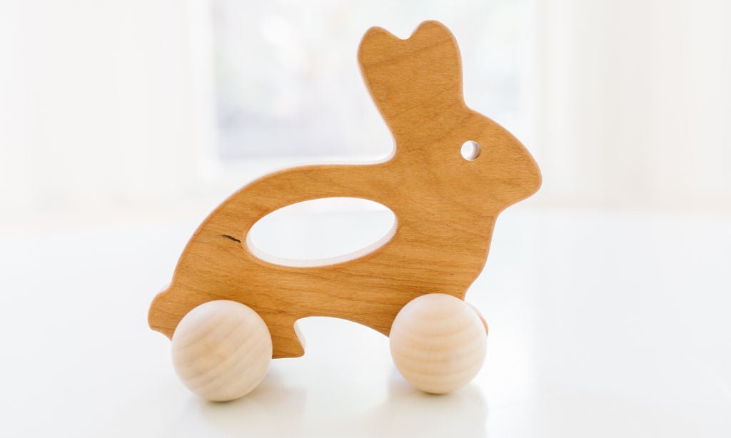 Bunny Push Toy - Aware House