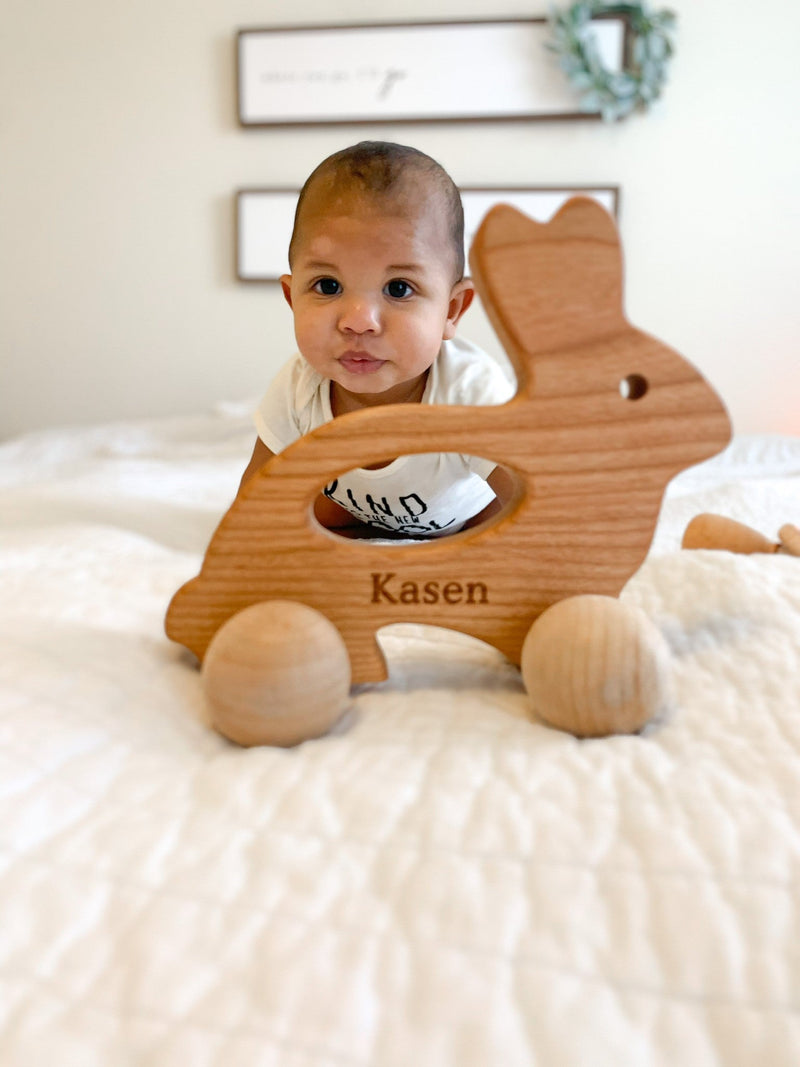 Bunny Push Toy-zoom-
