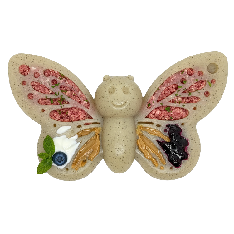 Butterfly Nylon Chew & Enrichment Toy