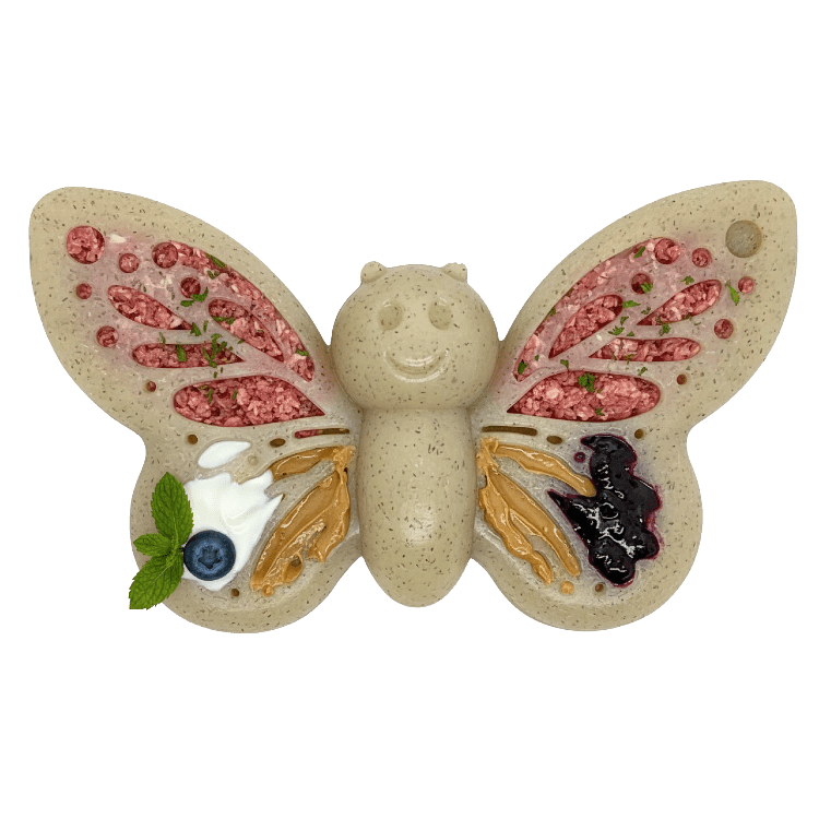 Butterfly Nylon Chew & Enrichment Toy - Aware House - Soda Pup -