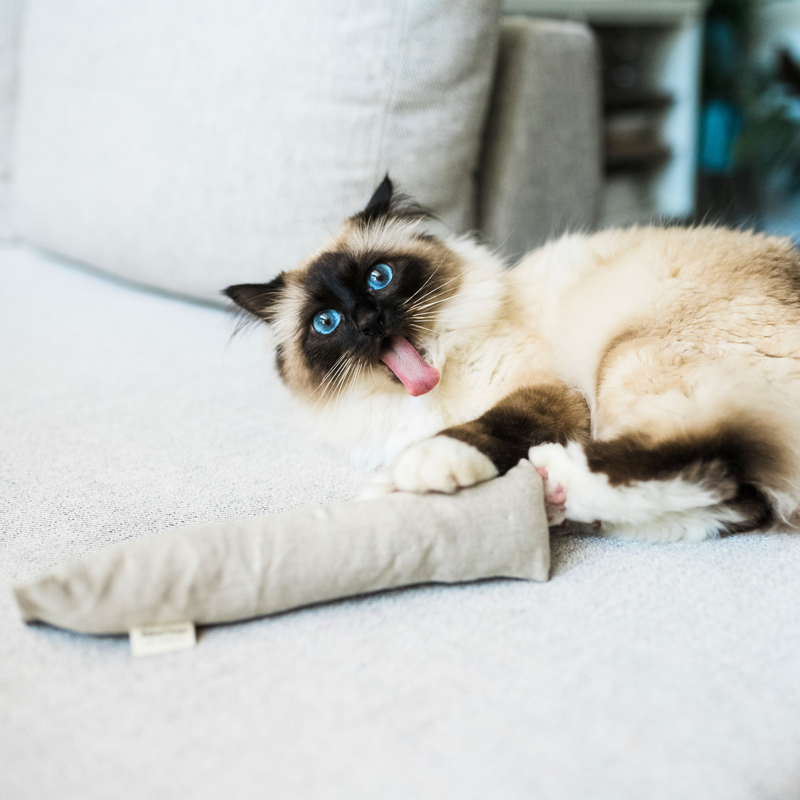 Boba & Vespa Cat Kicker Toy-zoom-