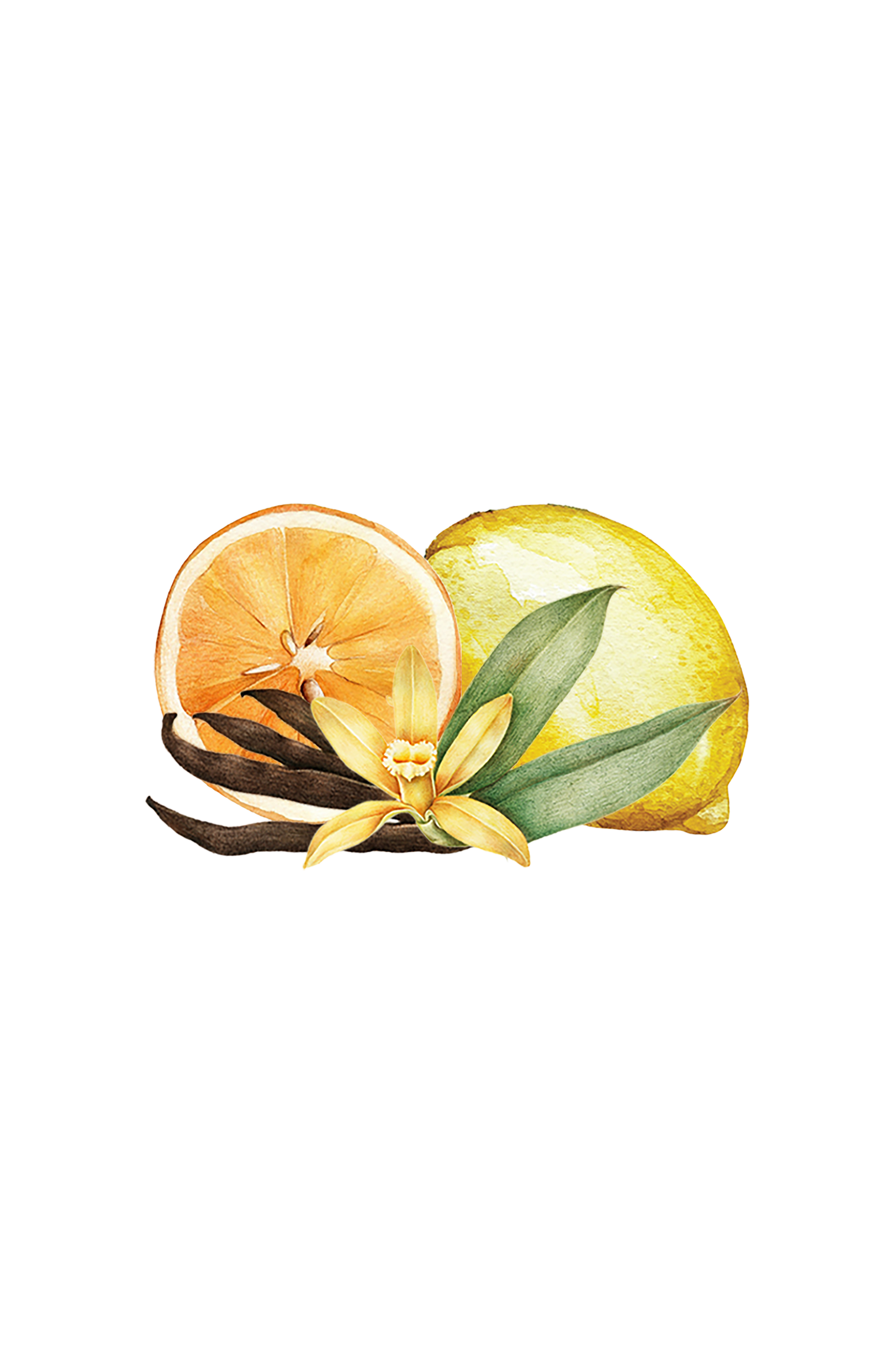 Room Spray | Citrus Vanilla-2