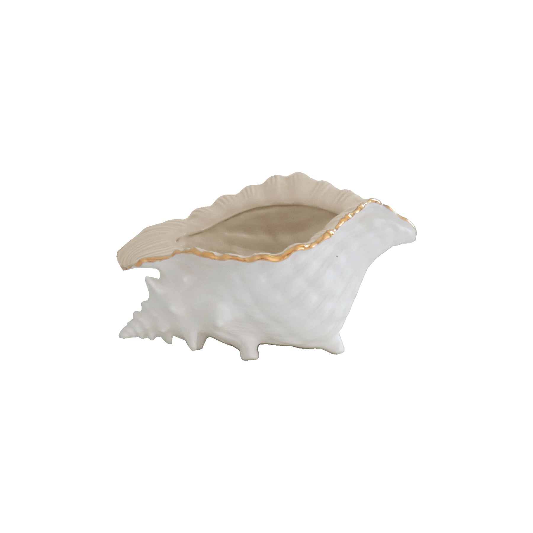 Conch Bowl with 22K Gold Accent - Aware House
