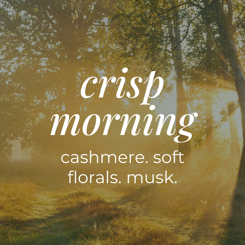 Fall Car Diffusers-zoom-