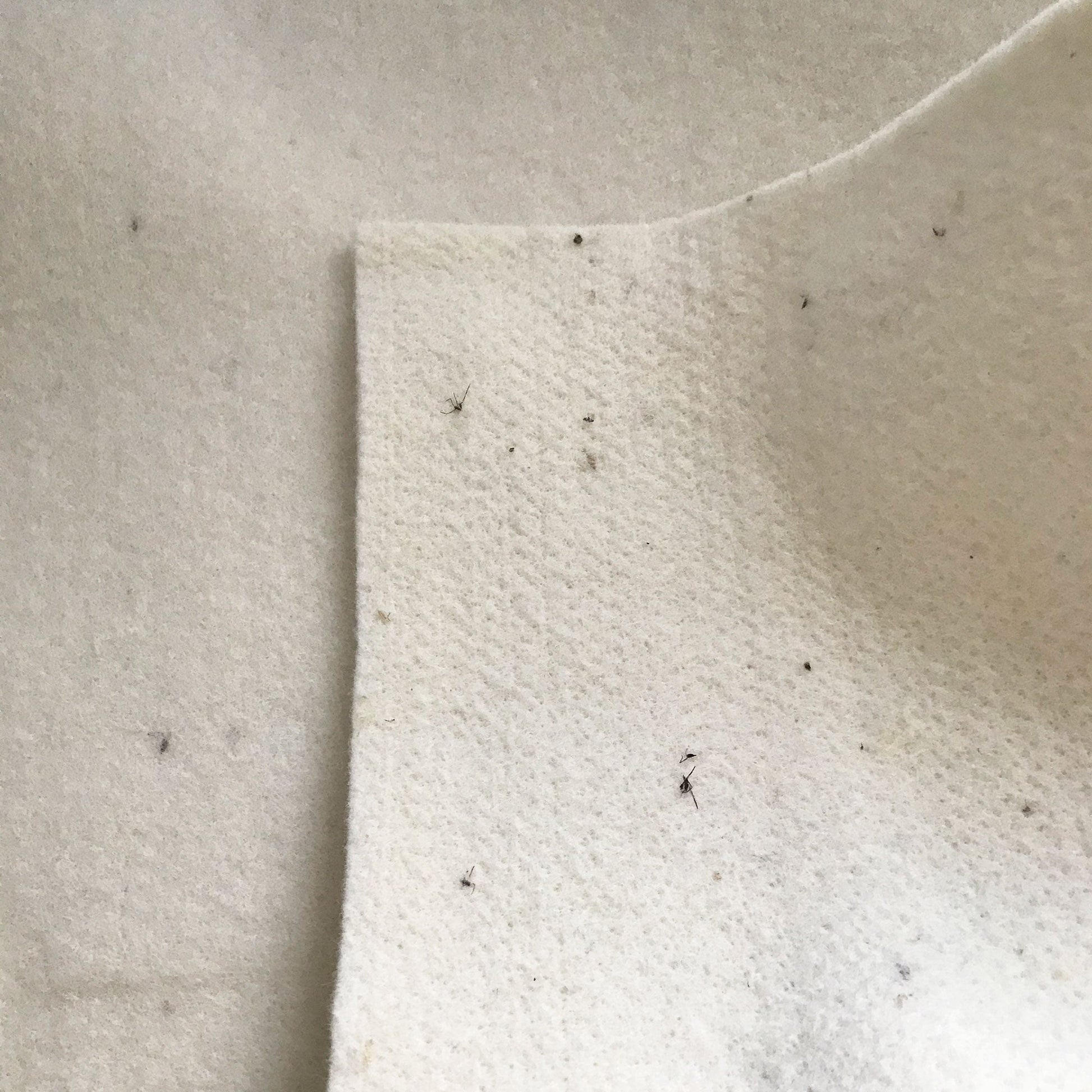 Organic Wool Mattress Protection Pad-6