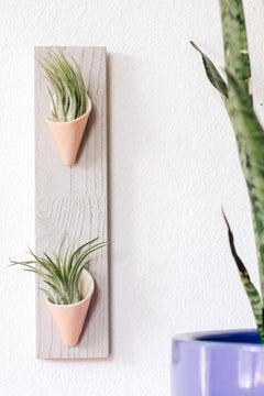 Double Ceramic Wall Planter - Aware House