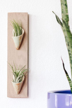 Double Ceramic Wall Planter - Aware House