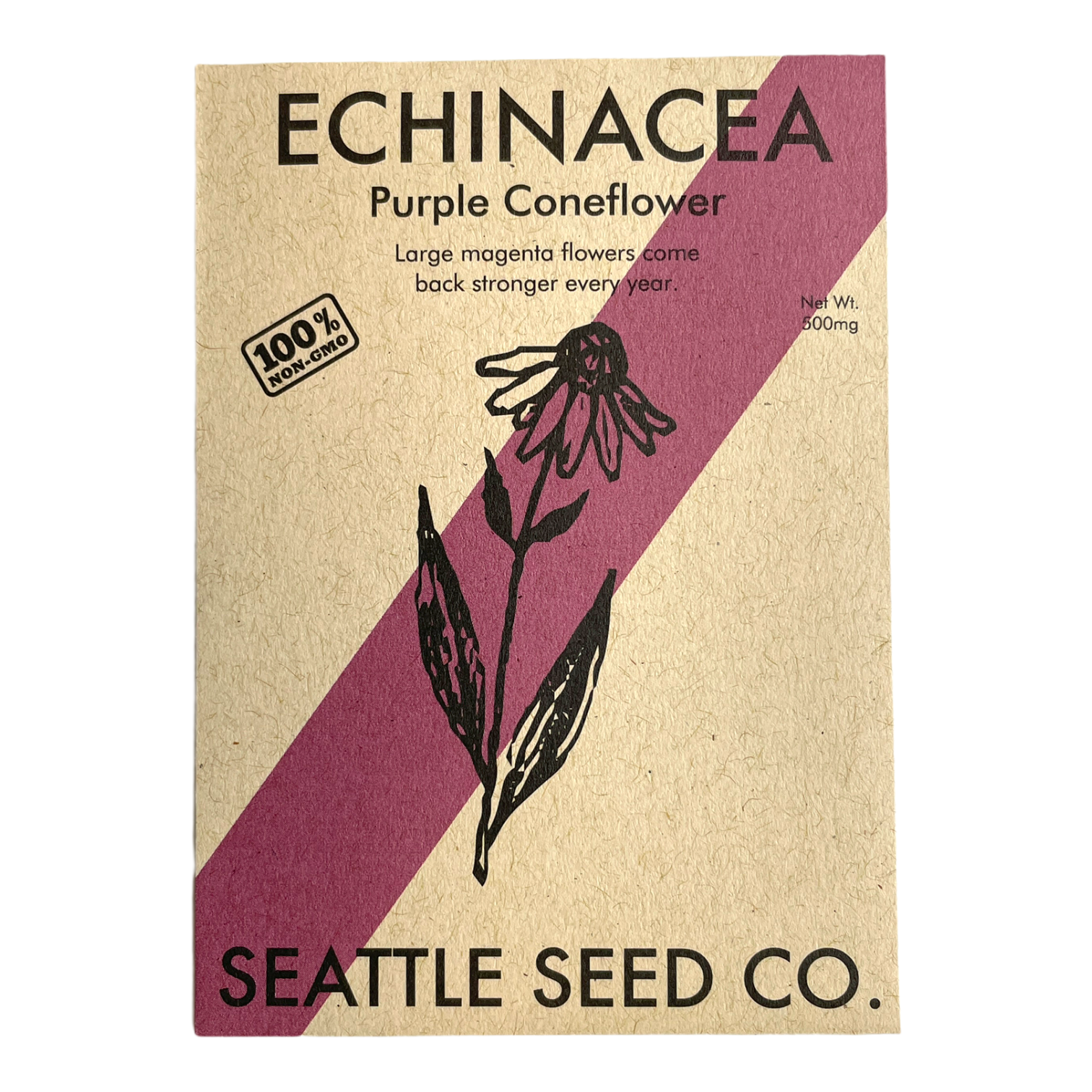Echinacea Purpurea-1