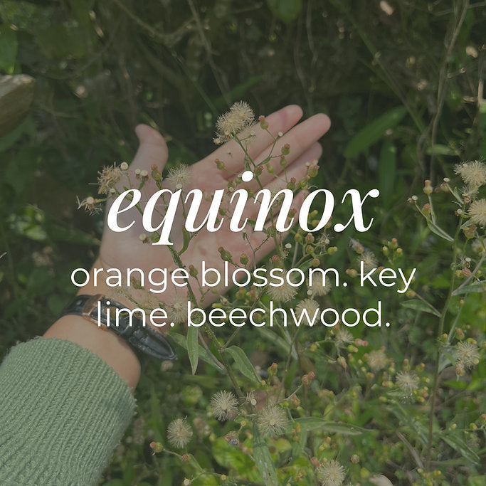 Spring Wax Melt Snap Bars-zoom-