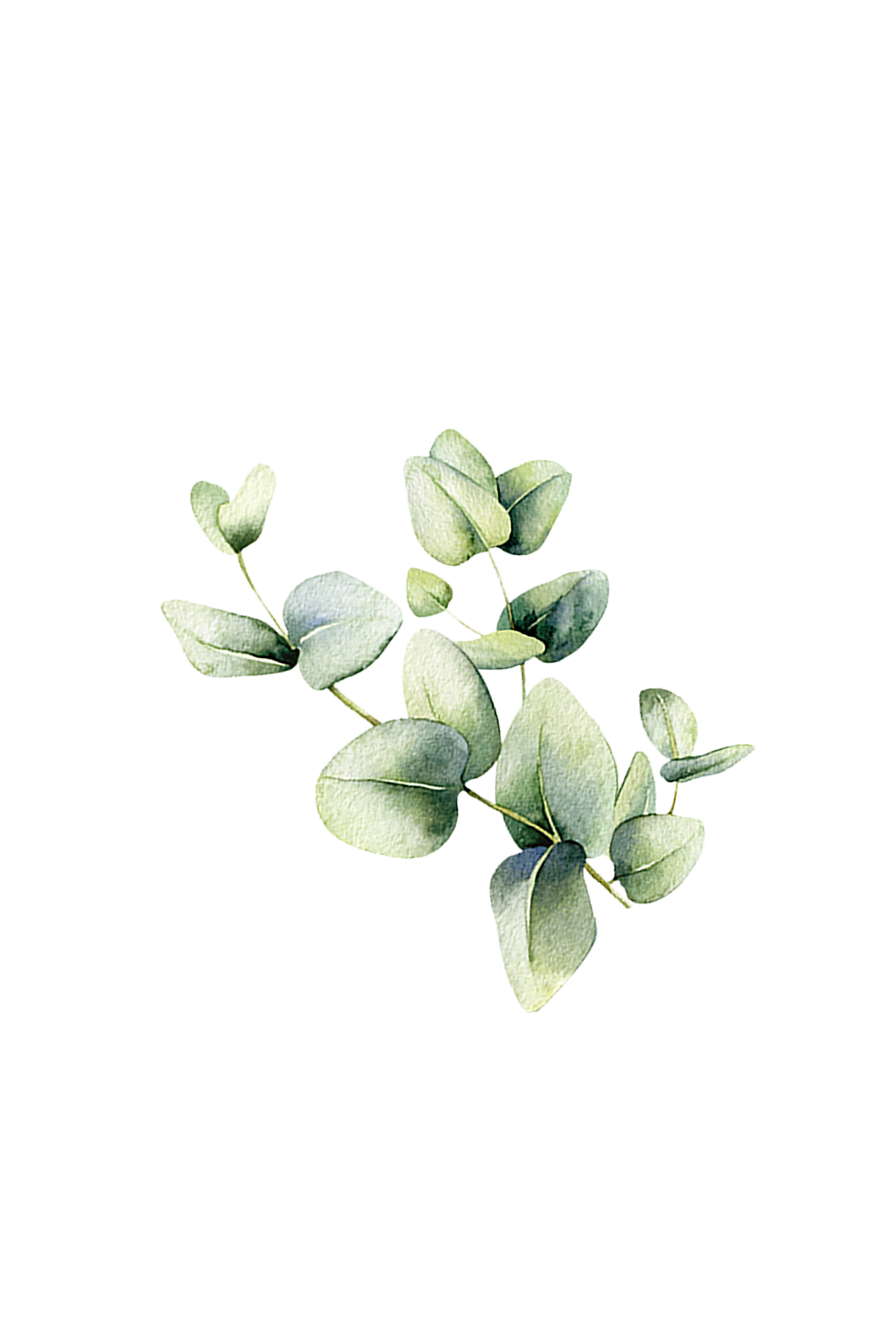 Room Spray | Eucalyptus-2