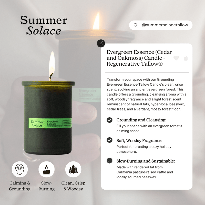 Evergreen Essence Travel Candle | Cedar & Oakmoss-zoom-